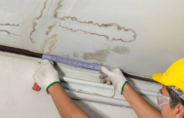 Reliable Mold Remediation contractor in Clayton, MI by Local Water Damage Repair